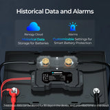 RENOGY Battery Shunt 300