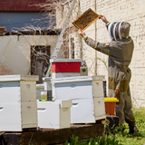 Sting Stopper Professional Triple Layer Ventilated Full Beekeeping Suit