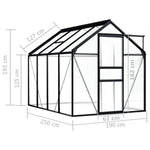 vidaXL Greenhouse Patio Grow House Outdoor Green House Anthracite Aluminum-1