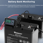 Monitoring Screen for Smart Lithium Battery Series-3