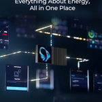 RENOGY ONE M1-1
