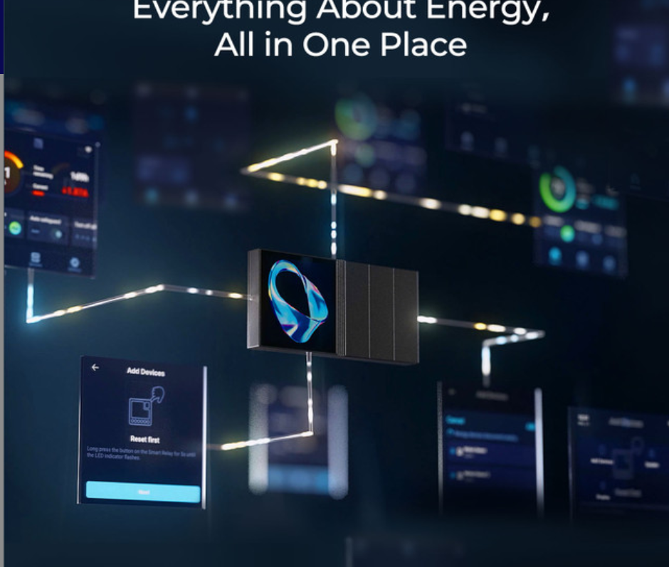 RENOGY ONE M1-1