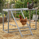 PawHut Chicken Activity Play Structure With Swing Set, Multiple Perches & Hen Ladder, Gray