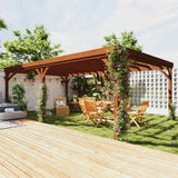 Outsunny 12' x 20' Wooden Pergola, Brown