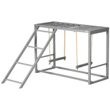 PawHut Chicken Activity Play Structure With Swing Set, Multiple Perches & Hen Ladder, Gray
