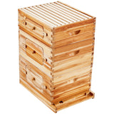 VEVOR 30 Frame Beehive Kit, 2 Deep + 1 Medium Bee Boxes, Beeswax Coated Fir Wood, Transparent Acrylic Windows